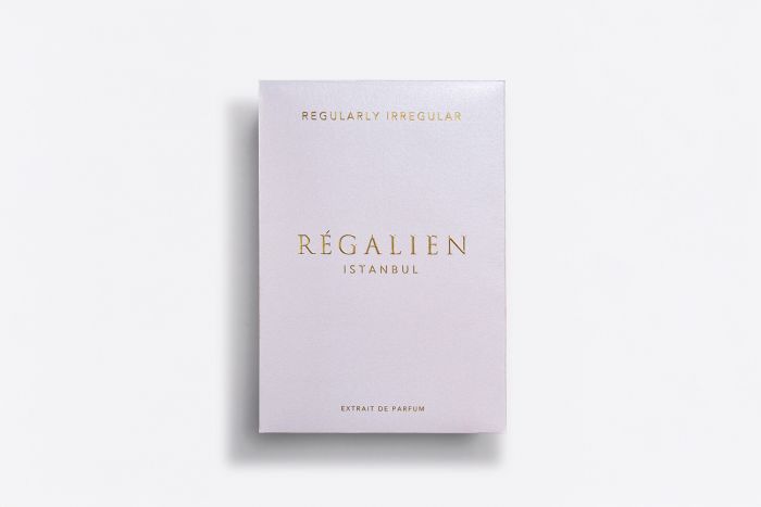 Regularly Irregular - Görsel 2